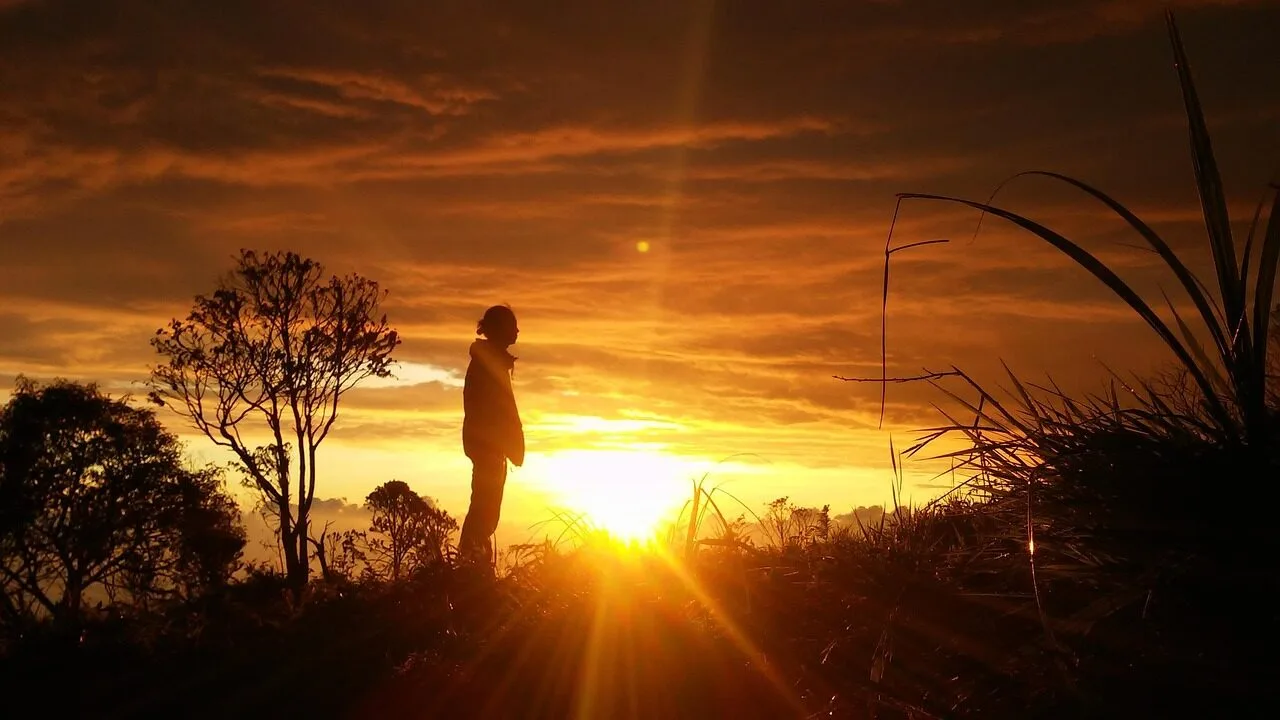 silhouette, man, alone, person, dark, nature, freedom, landscape, sky, praying, outdoors, orange, brown alone, brown pray