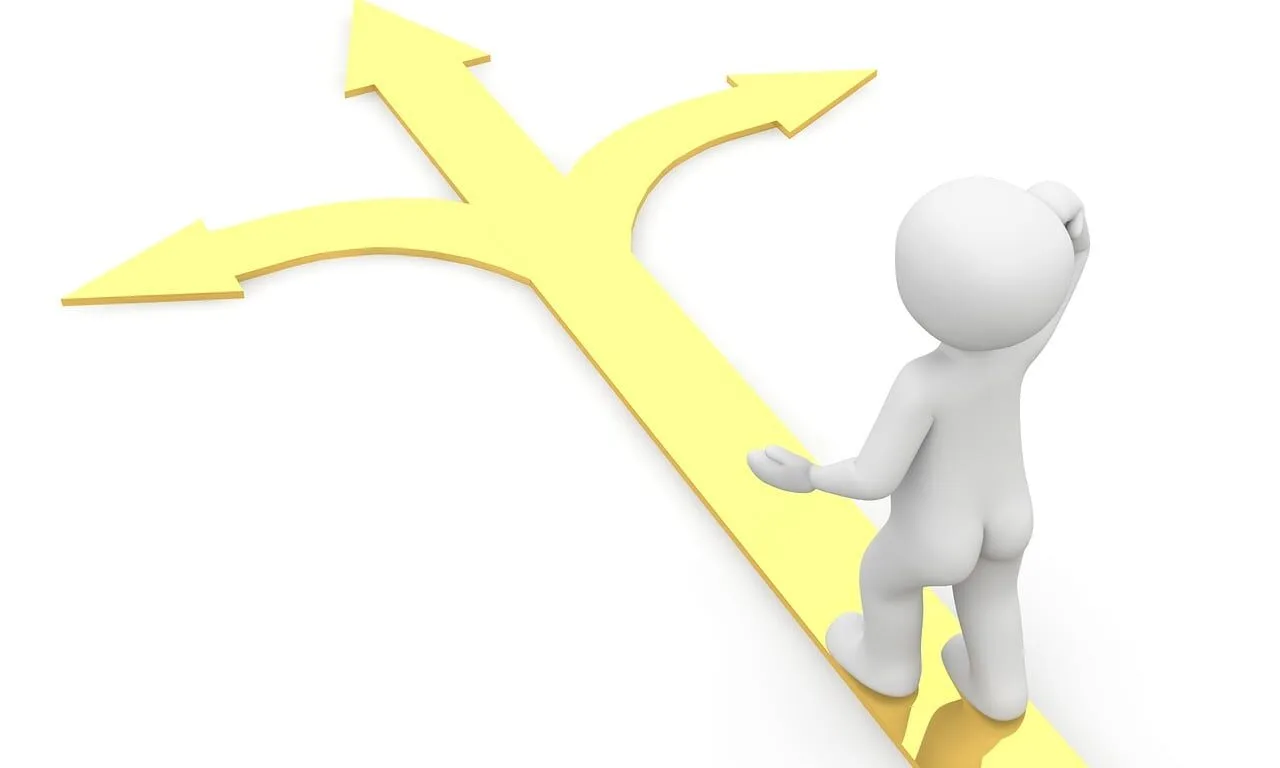 path, branch, direction, junction, fork in the road, decision