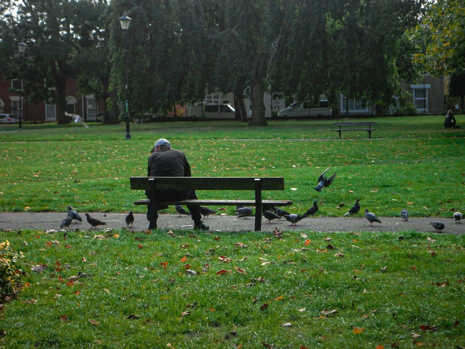 Person sitting on park bench with pigeons around.