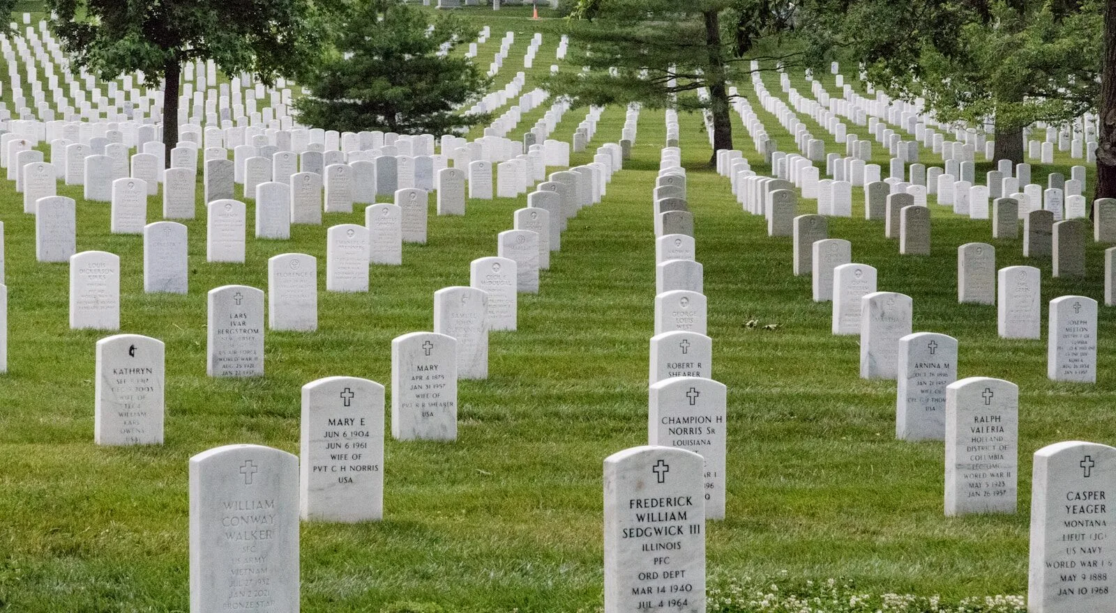 a cemetery with rows of headstones and trees in the background