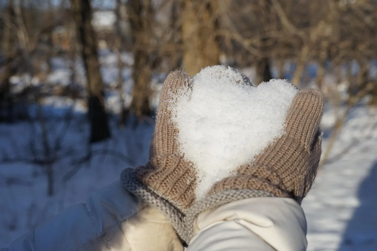 winter, snow, cold, nature, frost heart, valentines, mittens, white, hands, february, brown heart, brown snow, february, february, february, february, february