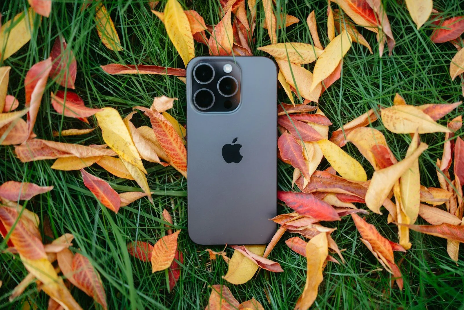 An iPhone is laying in the grass surrounded by autumn leaves