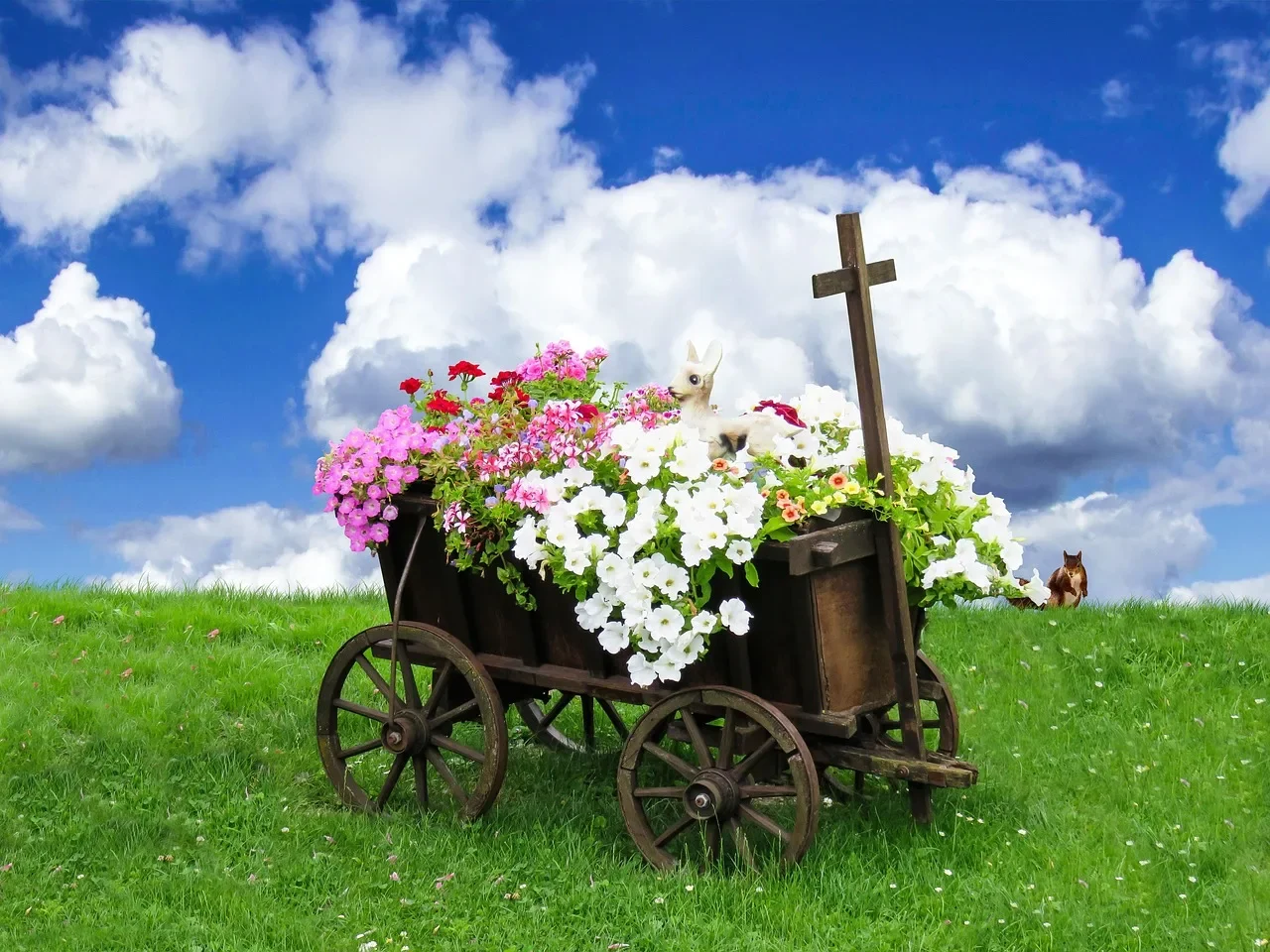 nature, landscape, beautiful flowers, flower background, meadow, grass, cart, flower, blossoms, geraniums, petunias, summer, clouds, squirrel, decoration, heaven, cross, symbol, flower wallpaper, faith