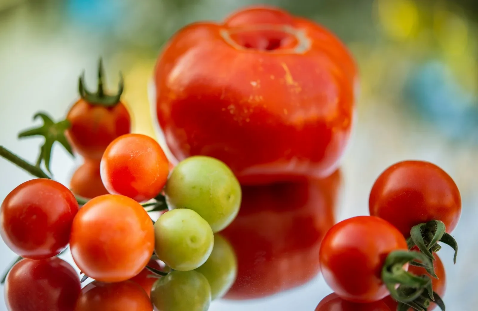 Good Soil Produces Much Fruit!!