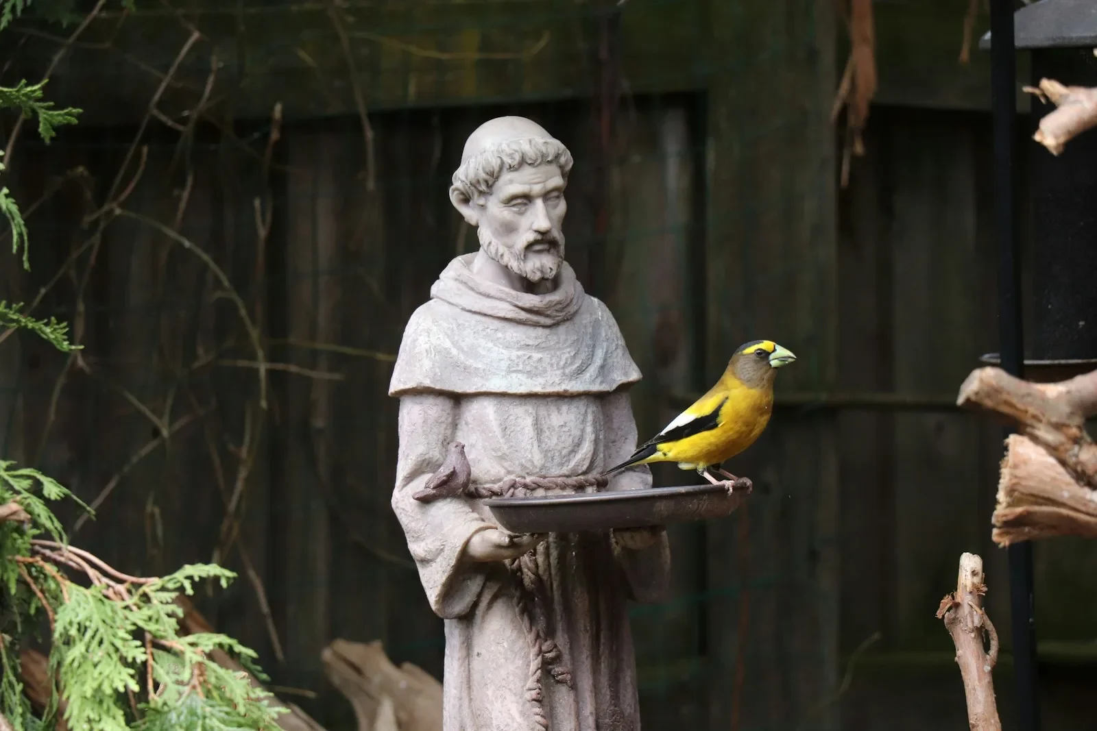 A Prayer by St. Francis of Assisi!